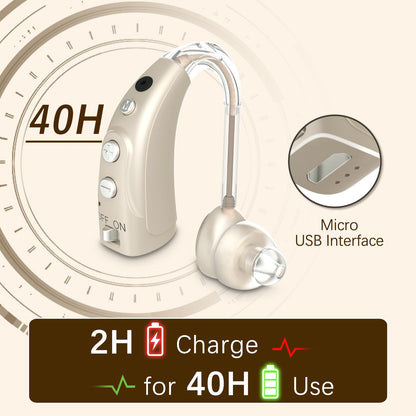 Delmicure VHP-1710 Digital Hearing Aids for Adults with 16 Channels & 4 Modes, Binaural (Gold)