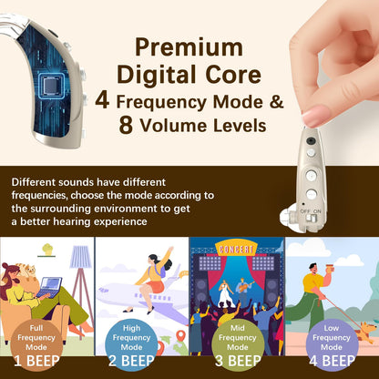 Delmicure VHP-1710 Digital Hearing Aids for Adults with 16 Channels & 4 Modes, Binaural (Gold)