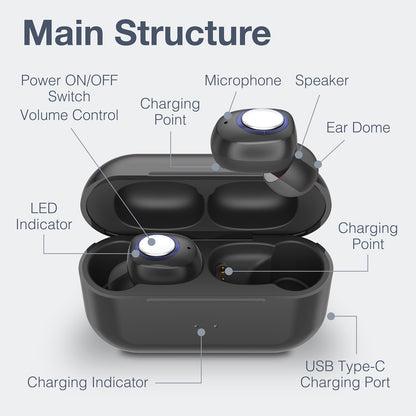 Delmicure VHP-1605 Hearing Aids, Rechargeable Hearing Amplifiers with Portable Charging Case, Binarual (Black)