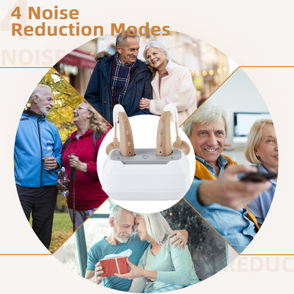 Delmicure VHP-1021 Hearing Aids for Adults, Hearing Amplifier with Charging Dock, Binarual (Beige), Control with Button_6
